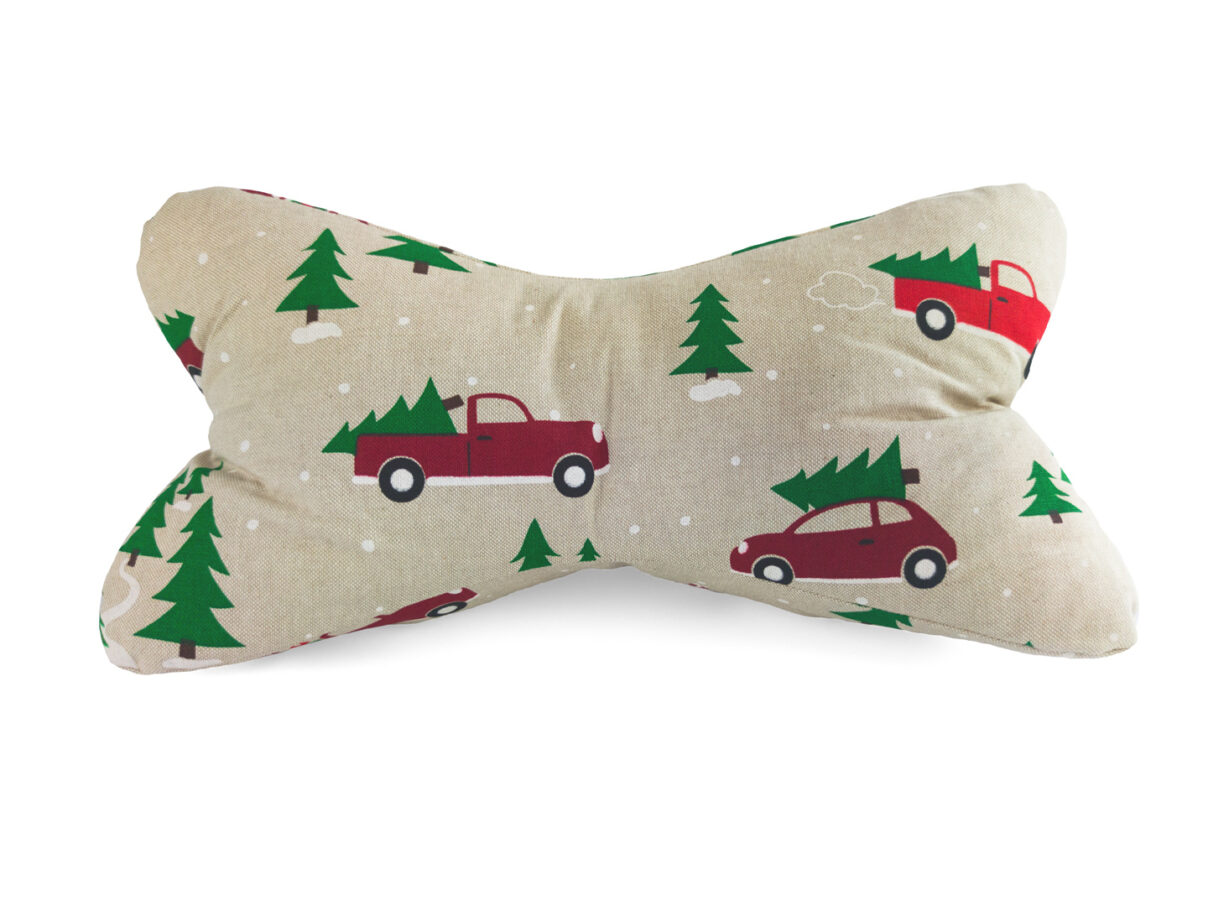 Leseknochen – Weihnachtsautos