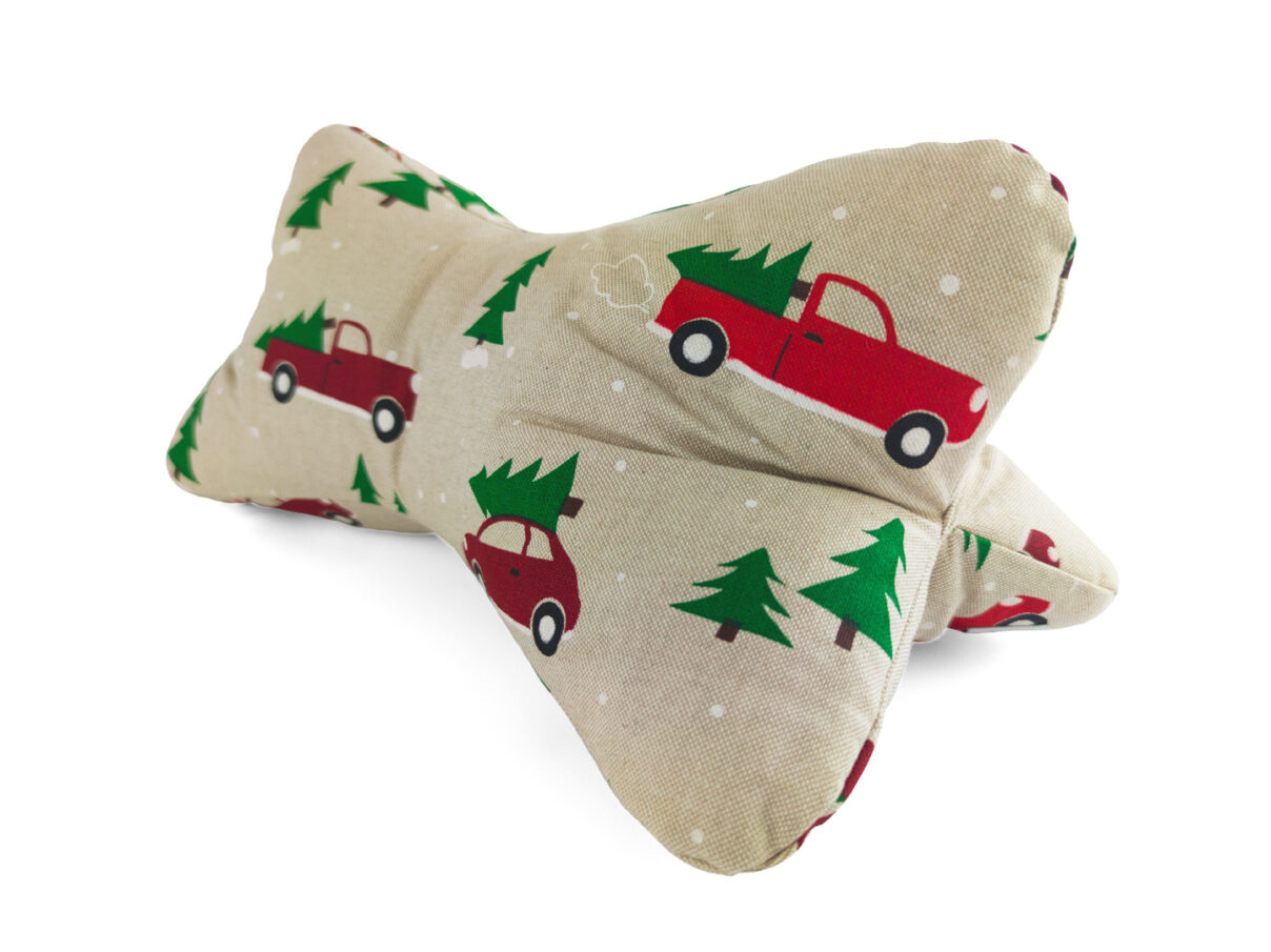 Leseknochen – Weihnachtsautos