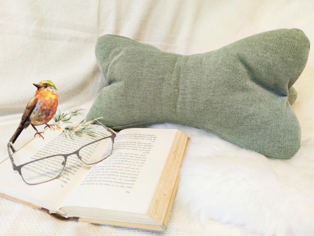 Plückefinken Illustration – lesefreundliches Wohlfühlen